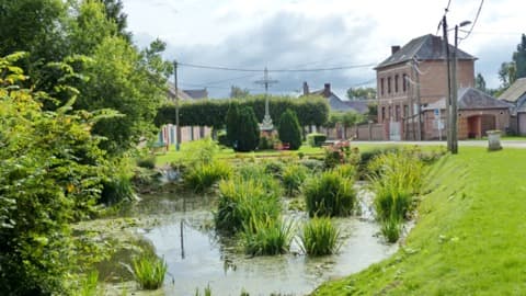 Élagueur Choqueuse-les-Bénards