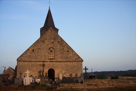 Élagueur Mareuil-la-Motte