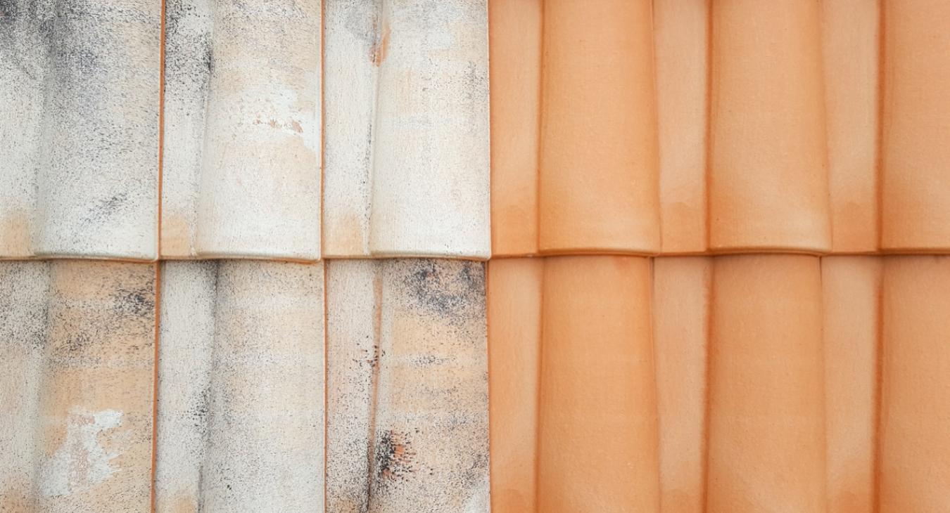 Nettoyage de toiture, Peinture & Hydrofugation de toit 60 Oise