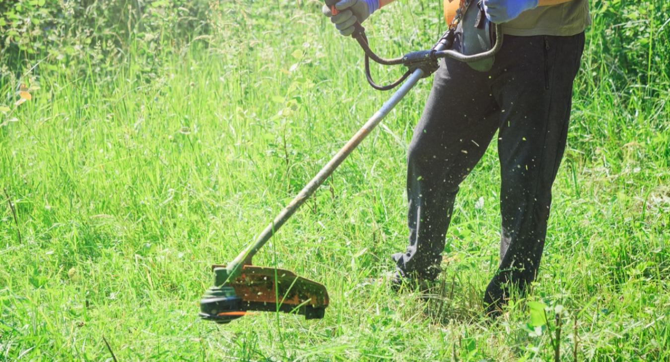 Taille de haies & Débroussaillage 60 Oise