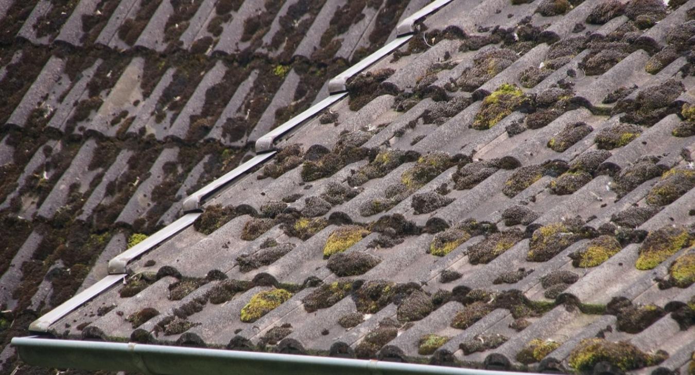 Nettoyage de toiture, Peinture & Hydrofugation de toit 60 Oise