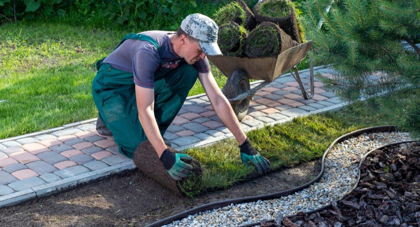 Pose de gazon en rouleaux 60 Oise
